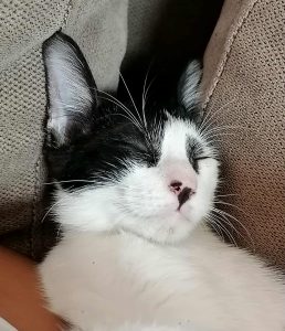 672b0f44 730b 4e14 85a9 685554d2659f